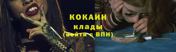 СК Волоколамск